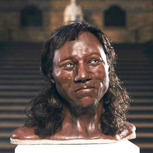 Meet your Posher, Cody - Picture 1 of 1